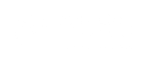 Expresión Digital